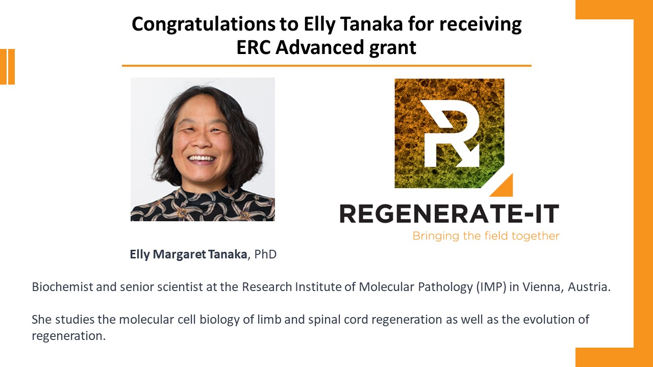 Congratulations to Elly Tanaka and her team for receiving ERC Advanced grant